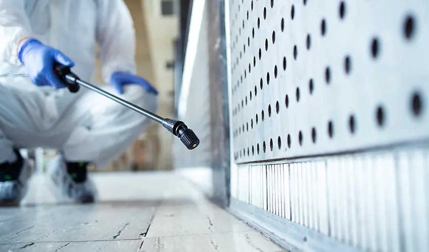 Eliminar chinches en Pallejà