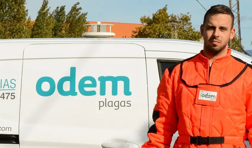 Eliminar chinches en Vallirana